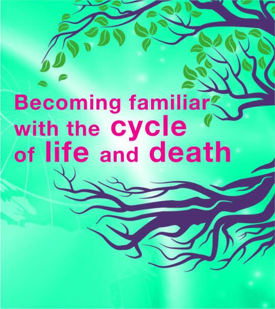 Theme: Becoming familiar with the cycle of life and death